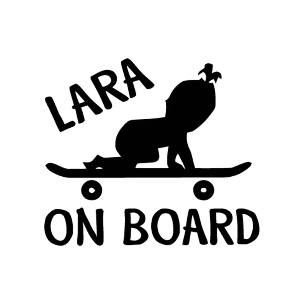 Baby on board 2
