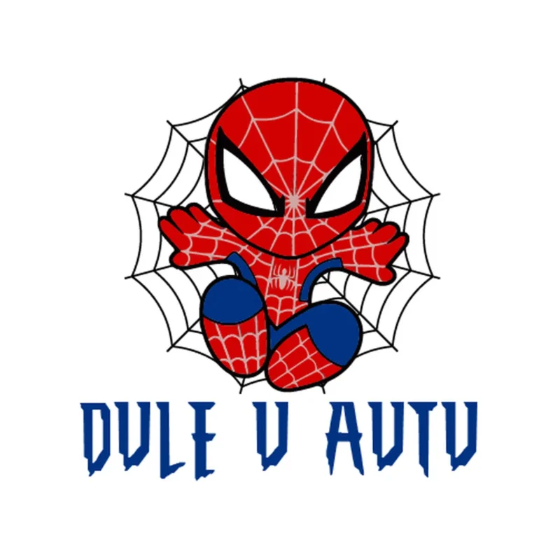 Spiderman 2 on board