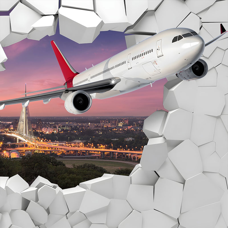 Foto tapeta Putnički avion nad Beogradom na zidu