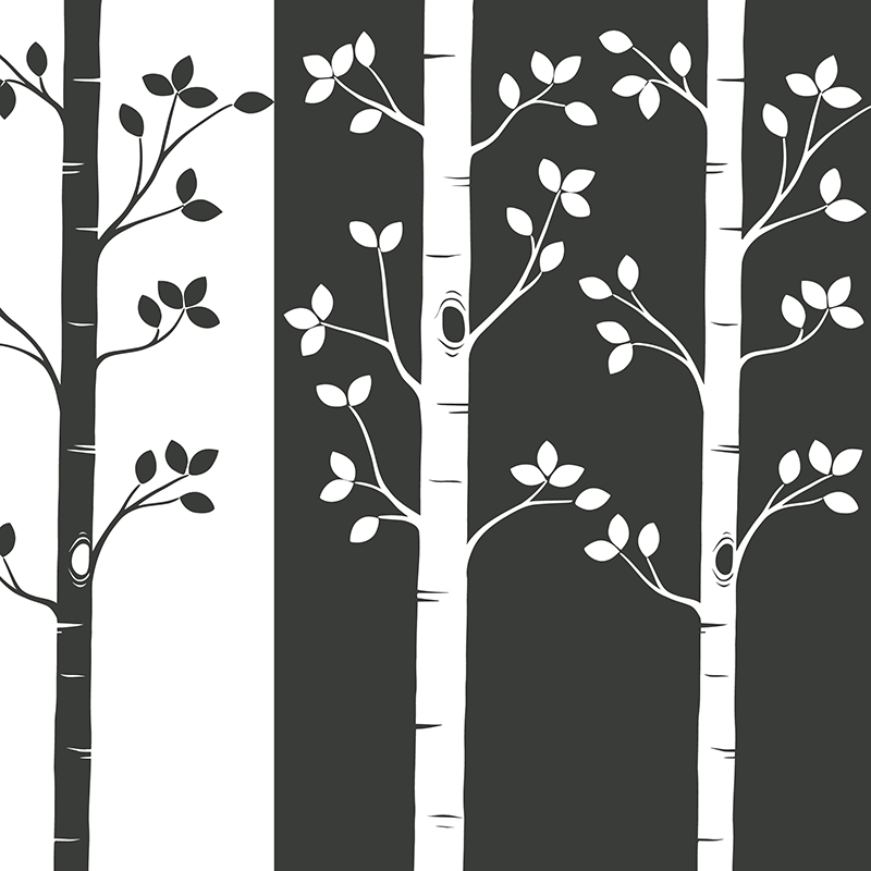 Foto tapete Forest 20, foto tapeta na zidu