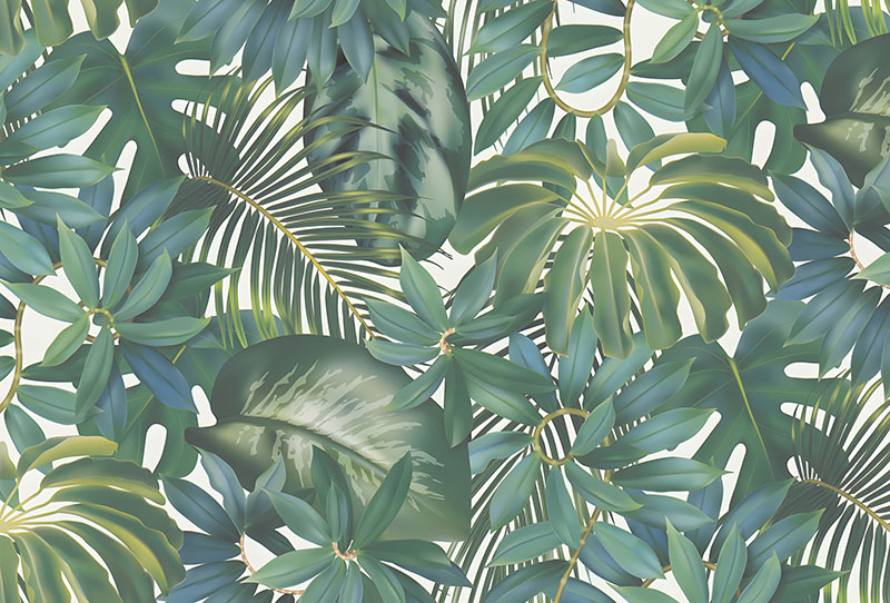 Ceo dezen Monstera i palme u gustom zelenilu