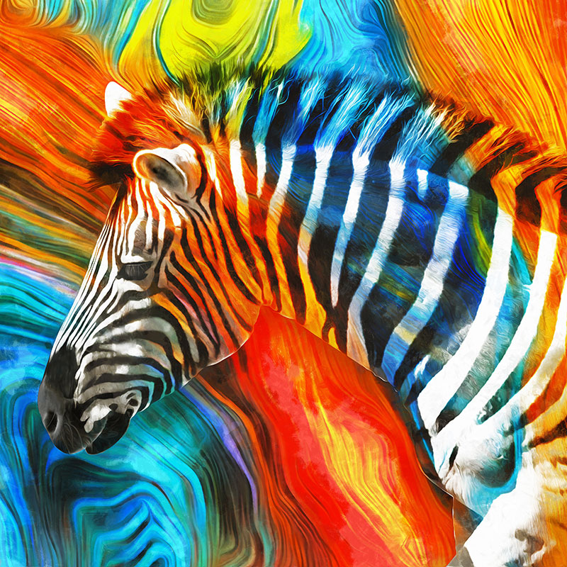 Ceo dezen Zebra u bojama