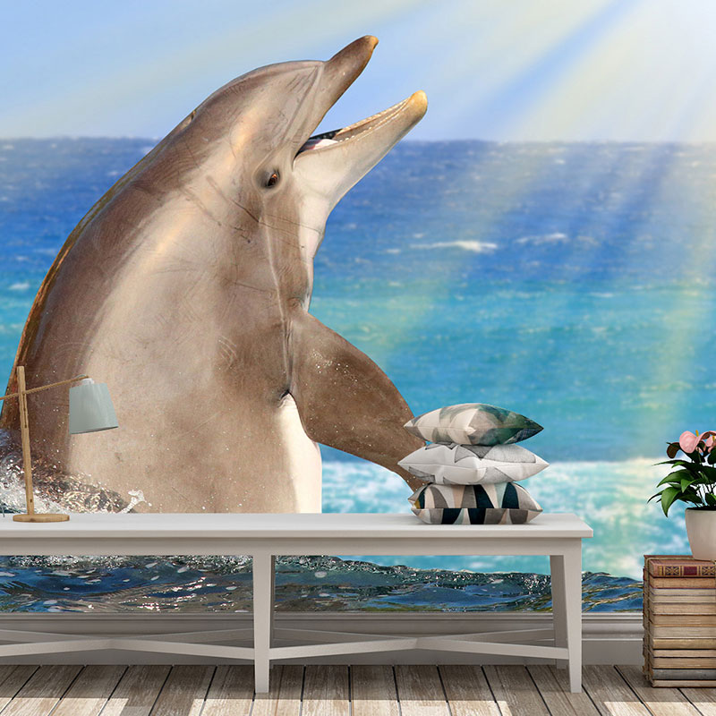 Foto tapeta Nasmejani delfin u suncu na zidu