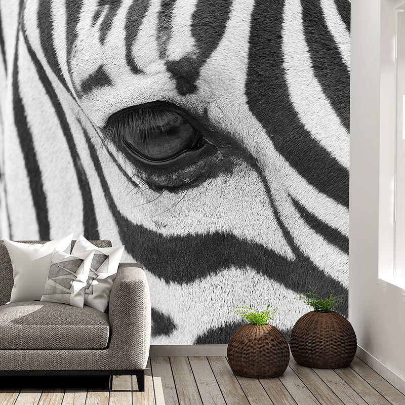 Foto tapeta Oko zebre izbliza na zidu