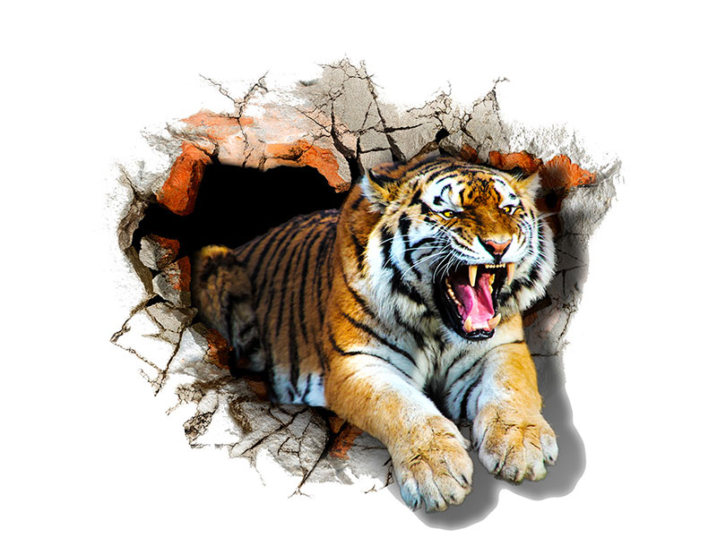 Ceo dezen Tigar izlazi iz zida