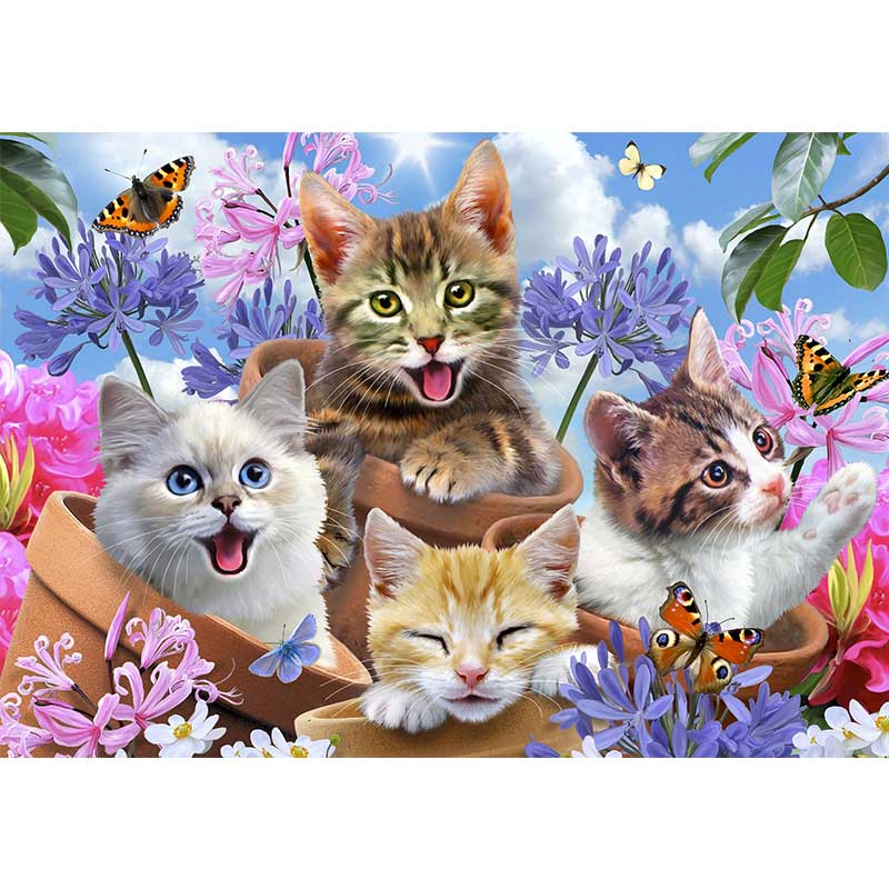 Ceo dezen Foto Tapete Cool Kitties